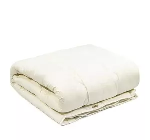 Ковдра зимова "Fine Sleep "мікрофібра Ковдра зимова "Fine Sleep "мікрофібра